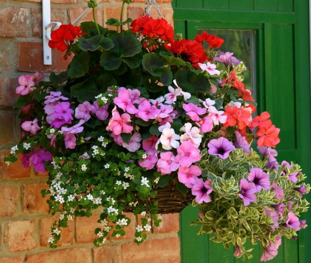 Flowers To Plant In Spring Summer Time
