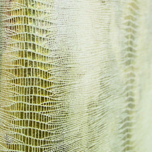 Top 50 Expensive Fabrics