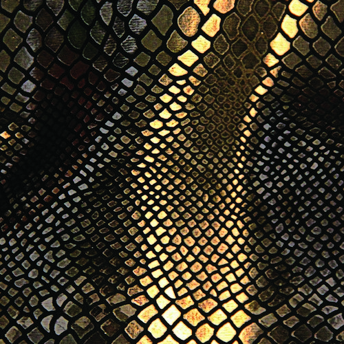 Top 50 Expensive Fabrics