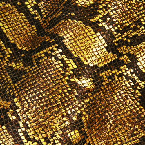 Top 50 Expensive Fabrics