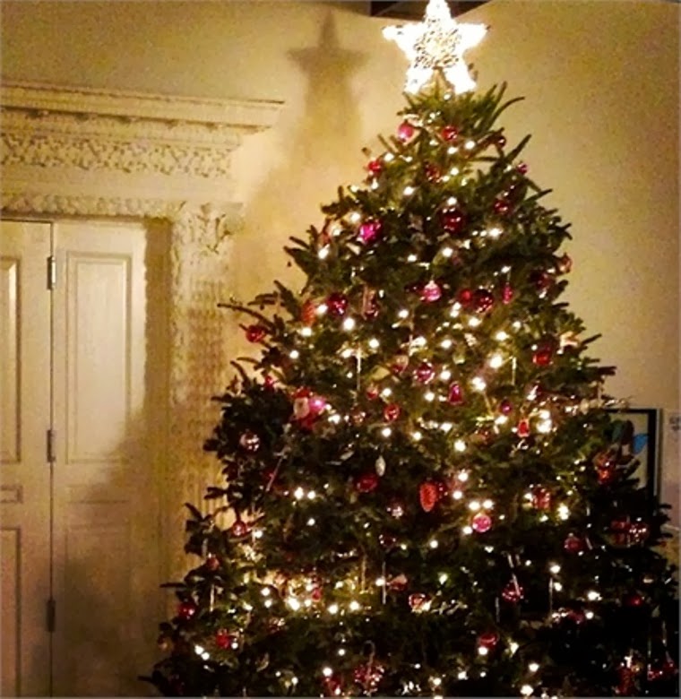10 Celebrities Christmas Trees Decorations