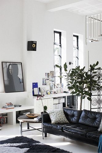 20 Exclusive Sofas for Winter