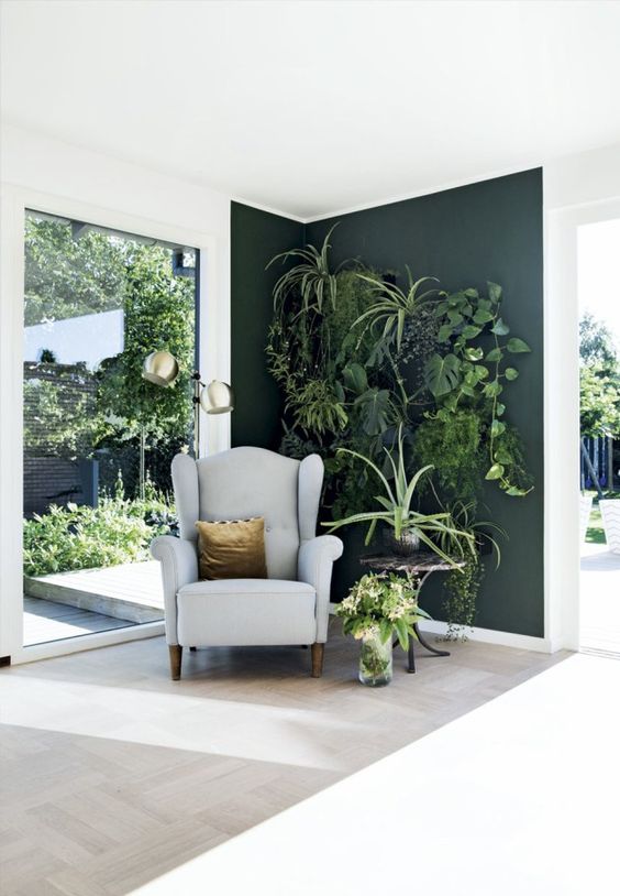 tropical green rooms