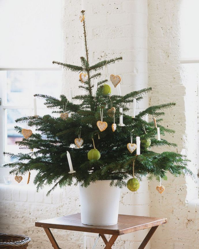 Christmas Tree Ideas Perfect for Every Decor Style